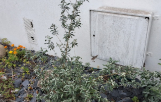 coffret_batiment b molene_facade_1