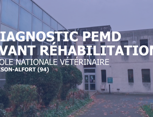 Diagnostic PEMD avant réhabilitation d&rsquo;un établissement d&rsquo;enseignement supérieur – ENVA | Alterea