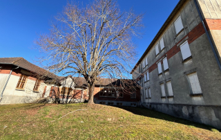 vue_d_ensemble_exter