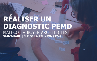 formation réaliser un diagnostic PEMD ile de la réunion